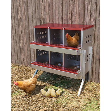 Garvee Caja de Nido para Gallinas 2 Capas 6 Compartimentos con Patas, Acero Galvanizado, Con 6 Huevos Falsos, Recogida Automática Ventilación, Fácil Limpieza, Rojo Verde