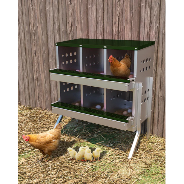 Garvee Caja de Anidación para Gallinas 2 Capas 6 Compartimentos con Patas, Acero Galvanizado, Con 6 Huevos Falsos, Bandeja Recogedora Gallineros, Verde Oscuro