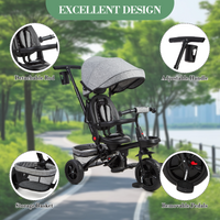 Garvee Triciclo Evolutivo Infantil 6 en 1 T08B Asiento Reversible Capota Plegable Acero al Carbono Cinturón de Seguridad de 3 Puntos para Niños de 10 Meses a 5 Años Gris