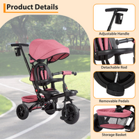 Garvee Triciclo Infantil Evolutivo 6 en 1 Marco Acero Carbono Asiento Reversible Capota Ruedas EVA Antideslizantes Plegable Práctico Viajes Rosa