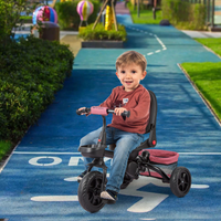 Garvee Triciclo Infantil Evolutivo 6 en 1 Marco Acero Carbono Asiento Reversible Capota Ruedas EVA Antideslizantes Plegable Práctico Viajes Rosa