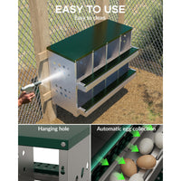 Garvee Caja de Anidación para Gallinas 2 Capas 8 Compartimentos, Acero Galvanizado, Con 8 Huevos Falsos, Fácil Limpieza, Montaje en Pared Gallineros, Verde Oscuro